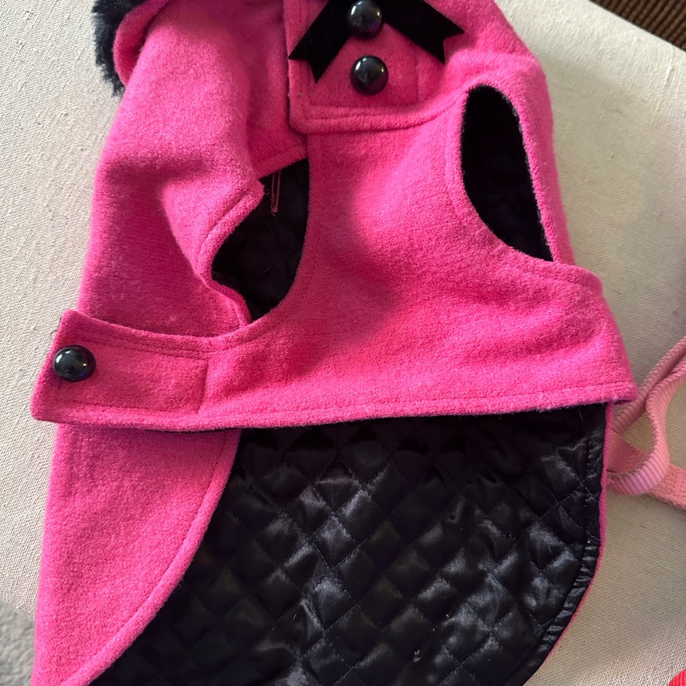 PUPPY Products 🐶 Collection of pet items bundled.